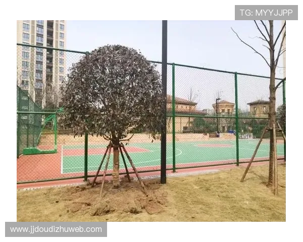 德胜娱乐城:丰富多彩的娱乐项目等你来探索 德胜娱乐城:丰富多彩的娱乐项目等你来探索